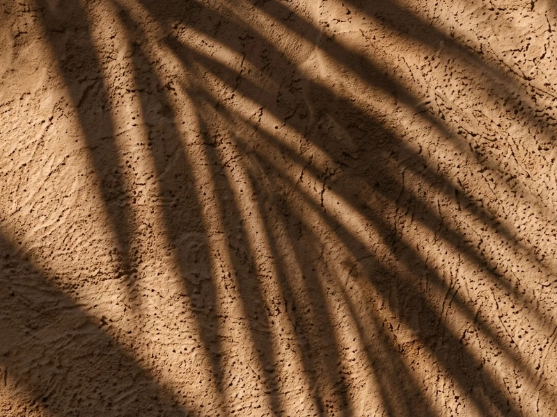 Sanfte Palmenschatten auf warmer mediterraner Wand